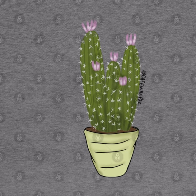 Cactus / by caffeineandpeace